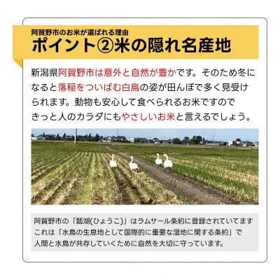 【令和7年産新米】米杜氏 新潟県阿賀野市産 特別栽培米 コシヒカリ 6kg(2kg×3袋)