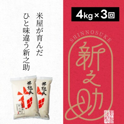 【令和7年産新米】【3ヶ月定期便】米杜氏 新潟県阿賀野市産  特別栽培米 新之助 4kg×3回