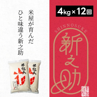 【令和7年産新米】【12ヶ月定期便】米杜氏 新潟県阿賀野市産  特別栽培米 新之助 4kg×12回