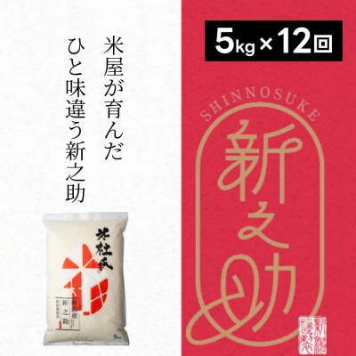 【令和7年産新米】【12ヶ月定期便】米杜氏 新潟県阿賀野市産  特別栽培米 新之助 5kg×12回