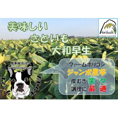 阿賀野市産 さといも 「ファームホリコシ皮付き里芋」 サイズ混合 5kg