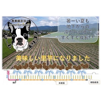 阿賀野市産 さといも 「ファームホリコシ皮付き里芋」 サイズ混合 5kg