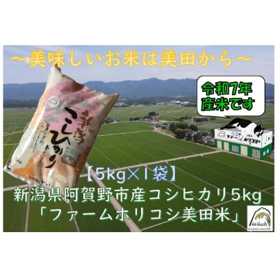 【令和7年産先行受付】阿賀野市産 コシヒカリ 「ファームホリコシ美田米」 5kg 白米 精米