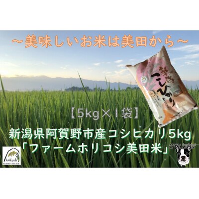 【令和7年産先行受付】阿賀野市産 コシヒカリ 「ファームホリコシ美田米」 5kg 白米 精米