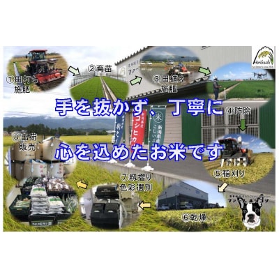 【令和7年産先行受付】阿賀野市産 コシヒカリ 「ファームホリコシ美田米」 5kg 白米 精米