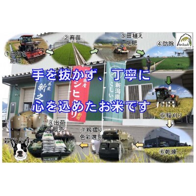 【令和7年産】数量限定!阿賀野市産新之助「ファームホリコシ 新之助」5kg 白米 精米  