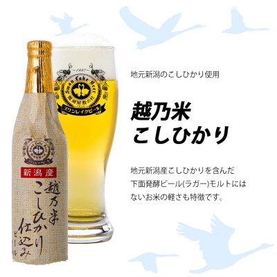 スワンレイクビール 金賞受賞入り こしひかり仕込みビール10本&焼豚セット 阿賀野市 新潟県 阿賀野