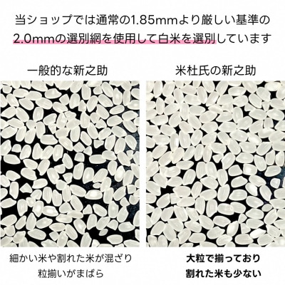 【令和7年産新米】【3か月定期便】 新之助 5kg×3回 計15kg 米杜氏 壱成 白米 精米 