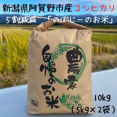 【令和7年産新米】阿賀野市産 コシヒカリ 「のぼじーのお米」10kg (5kg×2袋) 5割減減