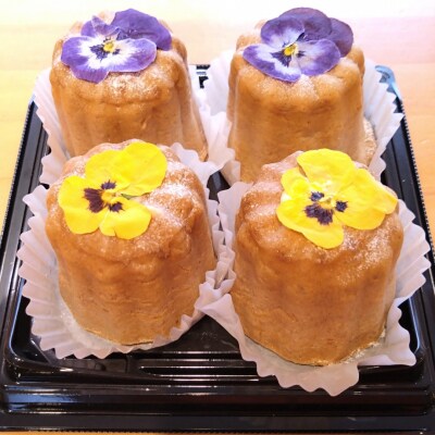 サントピアワールド の カヌレシュー4個セット(カスタード2個・チョコレート2個)新潟県産米
