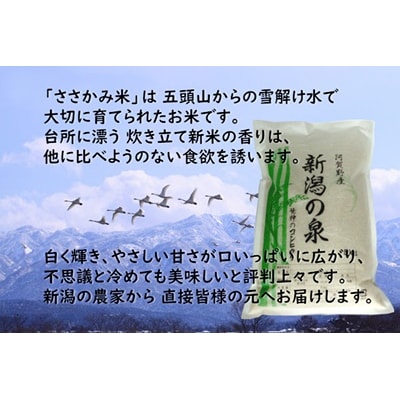 【令和7年産先行受付】【3回定期便】 農家直送コシヒカリ 新潟の泉 5kg×3回 合計15kg