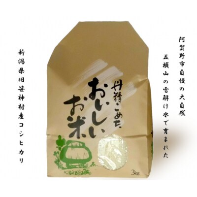 【令和8年産新米先行受付】【3回定期便】 農家直送 コシヒカリ 3kg×3回 合計9kg