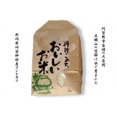 【令和7年産先行受付】3ヶ月定期便 旧笹神村産 コシヒカリ 2kg×3回 合計6kg 白米 上泉