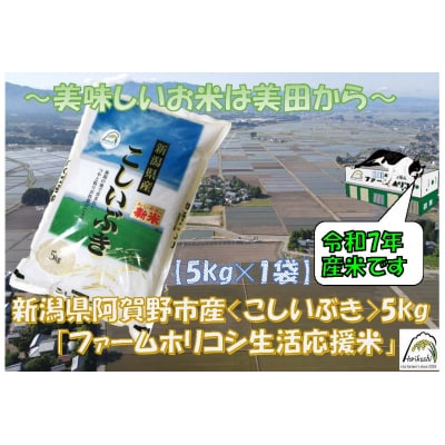 【令和7年産新米】生活応援米「ファームホリコシ」 こしいぶき 5kg (5kg×1袋)