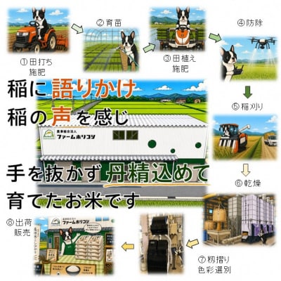 【令和8年産新米先行受付】「ファームホリコシ」 こしいぶき 5kg (5kg×1袋)
