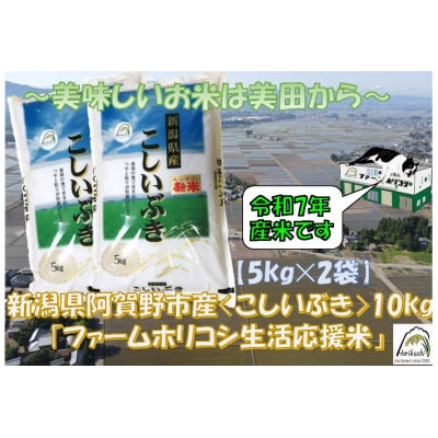 【令和7年産新米】生活応援米「ファームホリコシ」 こしいぶき 10kg(5kg×2袋)