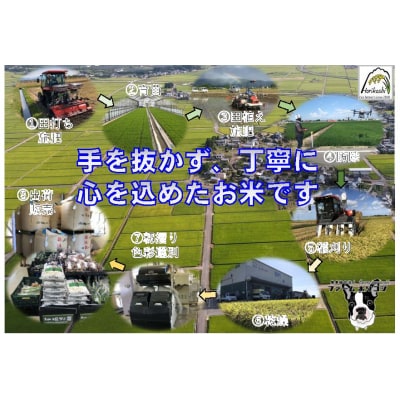 【令和7年産新米】生活応援米「ファームホリコシ」 こしいぶき 10kg(5kg×2袋)