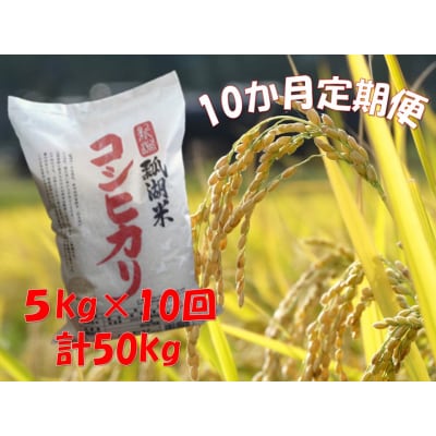 【令和7年産新米】【10ヶ月定期便】新潟産コシヒカリ瓢湖米　5kg×10回