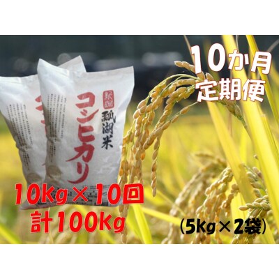 【令和7年産新米】【10ヶ月定期便】新潟産コシヒカリ瓢湖米　10kg×10回