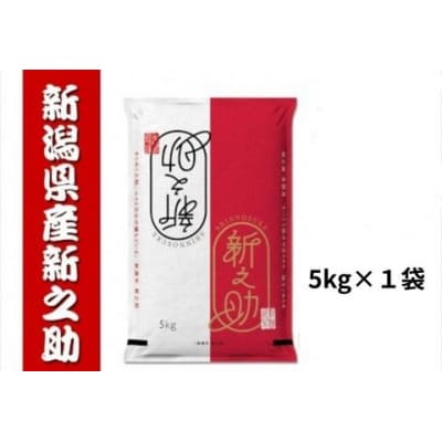 【令和8年産新米先行受付】新潟県産 新之助 5kg 井上米穀店