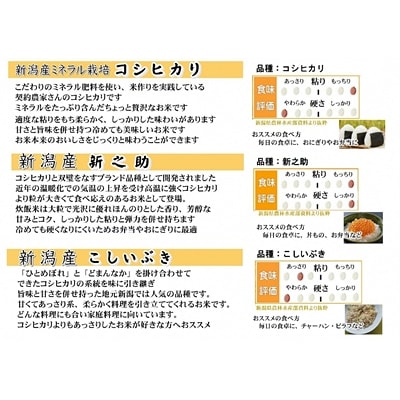 【令和7年産新米】新潟人気米セット計6kg(コシヒカリ・新之助・こしいぶき各2kg)