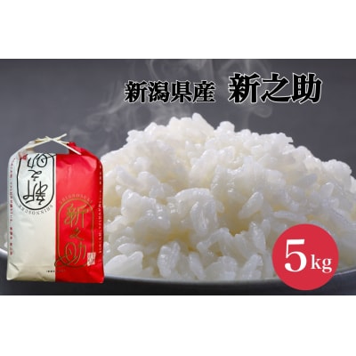【令和7年産新米】新之助 5kg (5kg×1袋) 塩田農園 新潟県 阿賀野市 米 白米