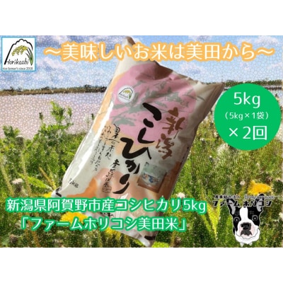 【令和7年産新米】【2ヶ月定期便】コシヒカリ「ファームホリコシ美田米」 5kg×2回
