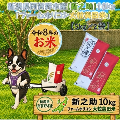 【令和8年産新米先行受付】新之助「ファームホリコシ 新之助」10kg(5kg×2袋)