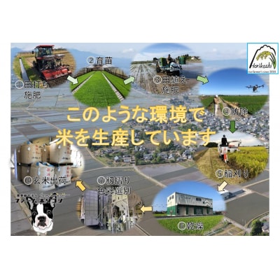 【令和7年産新米】新之助「ファームホリコシ 新之助」10kg(5kg×2袋)