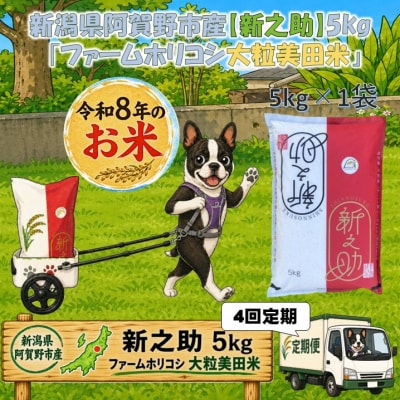 【令和8年産新米】【4ヶ月定期便】新之助 「ファームホリコシ 新之助」 5kg×4回 