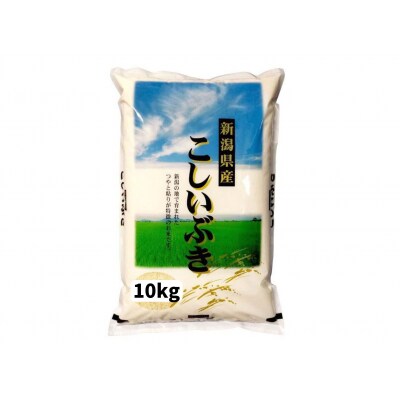【 令和7年産新米】新潟産 こしいぶき 10kg(5kg×2袋) 白米 精米