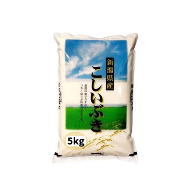 【令和7年産新米】新潟産 こしいぶき 5kg 白米 精米