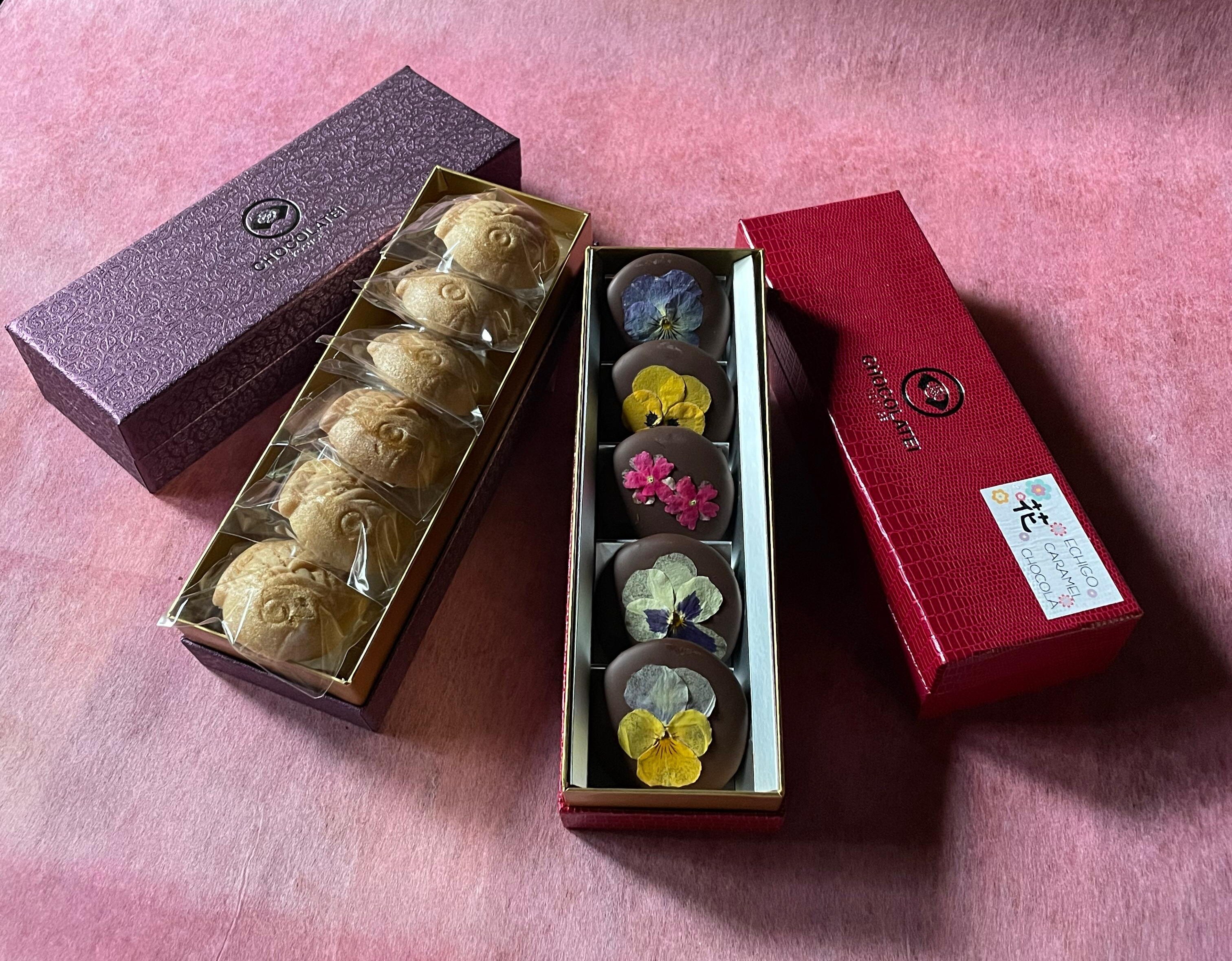 しょこら亭 ECHIGOキャラメル花ショコラ&鯛チョコセット