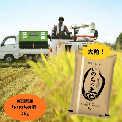 【令和7年産】新潟県阿賀野市産 いのちの壱 5kg 