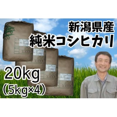 【令和7年産】新潟県産 純米コシヒカリ 20kg (5kg×4袋)さいとう農園