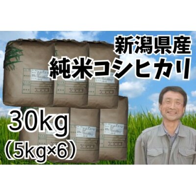 【令和7年産】新潟県産 純米コシヒカリ 30kg(5kg×6袋) さいとう農園
