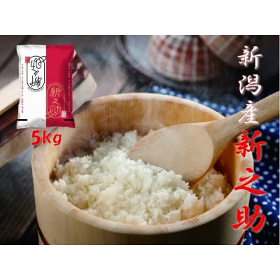 【令和8年産新米先行受付】阿賀野市産「新之助」5kg(5kg×1袋) 安田興和農事