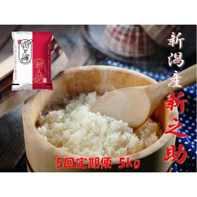【令和8年産新米】【5回定期便】阿賀野市産「新之助」5kg(5kg×1袋)×5回 安田興和農事