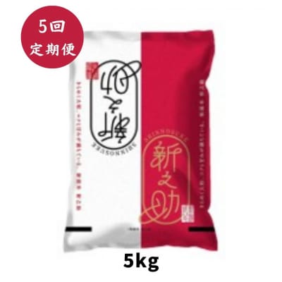 【令和8年産新米】【5回定期便】阿賀野市産「新之助」5kg(5kg×1袋)×5回 安田興和農事