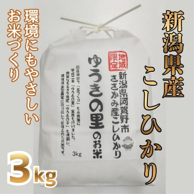 【令和7年産】阿賀野市 ささかみ産 こしひかり 「ゆうきの里のお米」 3kg 新潟コンバイン