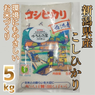 【令和8年産新米先行受付】阿賀野市 ささかみ産 こしひかり 「ゆうきの里のお米」 5kg