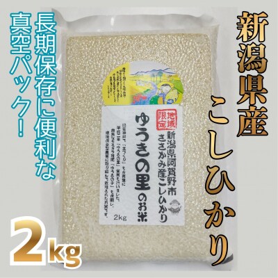 【令和8年産新米先行受付】阿賀野市 ささかみ産 こしひかり 「ゆうきの里のお米」真空パック 2kg