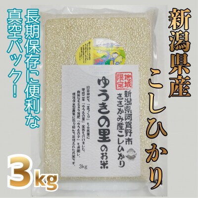 【令和8年産新米先行受付】阿賀野市 ささかみ産 こしひかり 「ゆうきの里のお米」真空パック 3kg