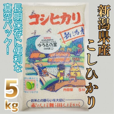 【令和7年産】阿賀野市 ささかみ産 こしひかり 「ゆうきの里のお米」真空パック 5kg