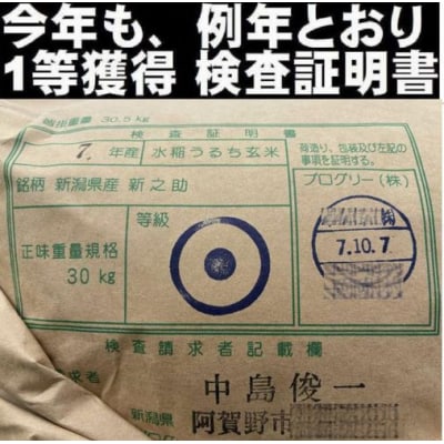 【令和7年産】【真空パック】整粒率95%の1等米!! 阿賀野市産「新之助」無洗米 5kg 中島農場
