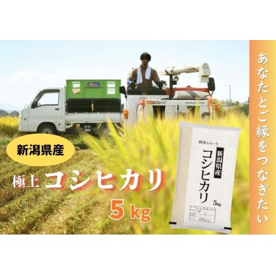 新潟県阿賀野市産 コシヒカリ 5kg