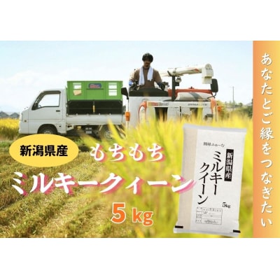新潟県阿賀野市産 ミルキークィーン 5kg