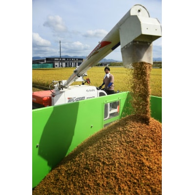 新潟県阿賀野市産 ミルキークィーン 5kg