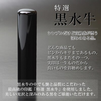 【実印や銀行印に使用可能】高級 黒水牛 チタンケース付き1本セット