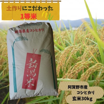 【令和7年産】 阿賀野市産 コシヒカリ 玄米30㎏ 
